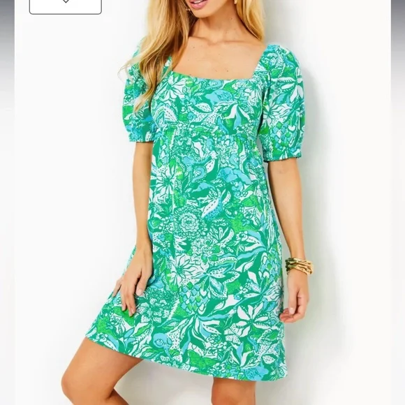 Lilly Pulitzer Dresses Nwot Lilly Pulitzer Delaney Dress Poshmark